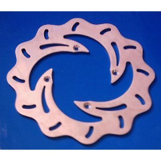 Vordere Bremsscheibe 250mm passend fr Kawasaki KX bis 2002/KLX